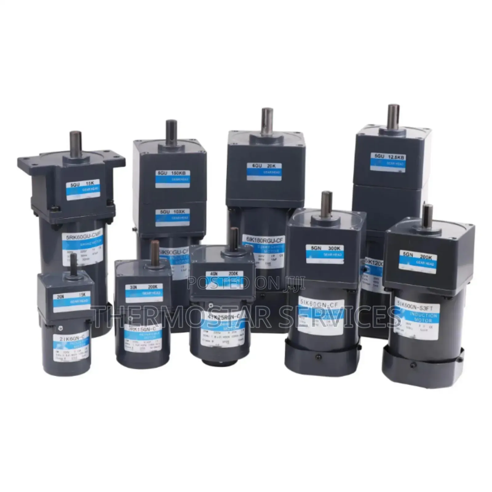 Conveyor Motor