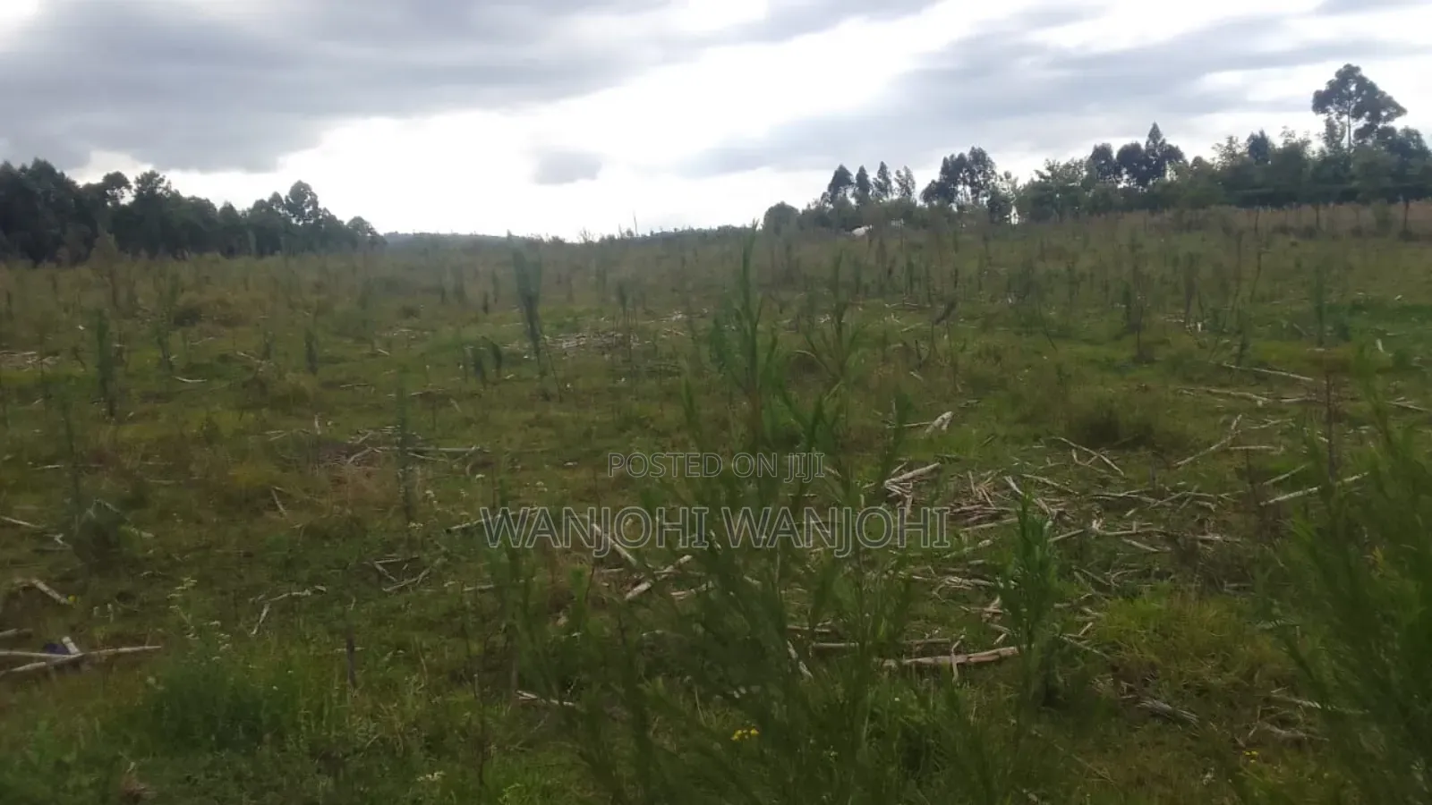 Prime 1 Acre in Gatimu