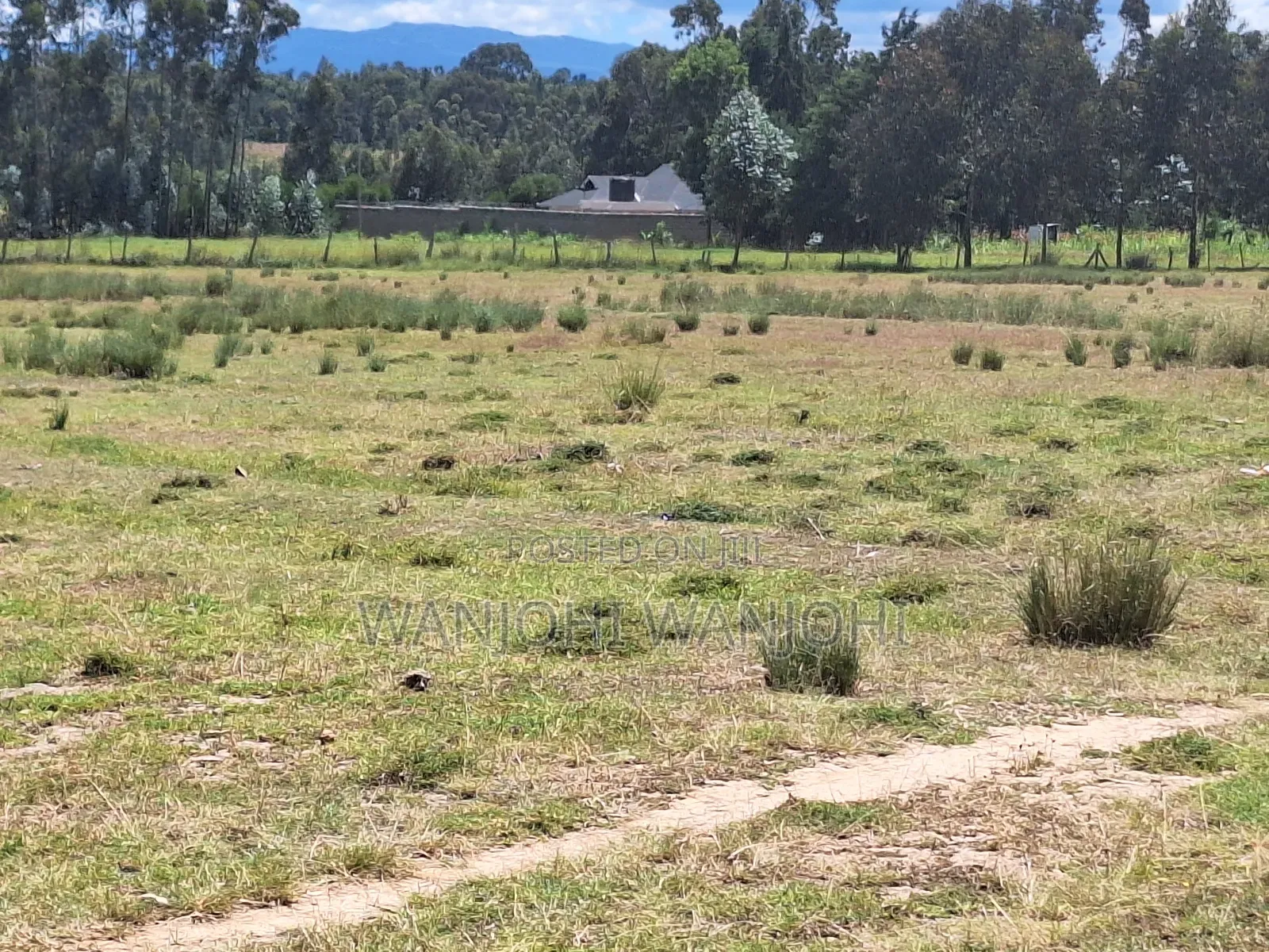One Acre Plot Nyahururu