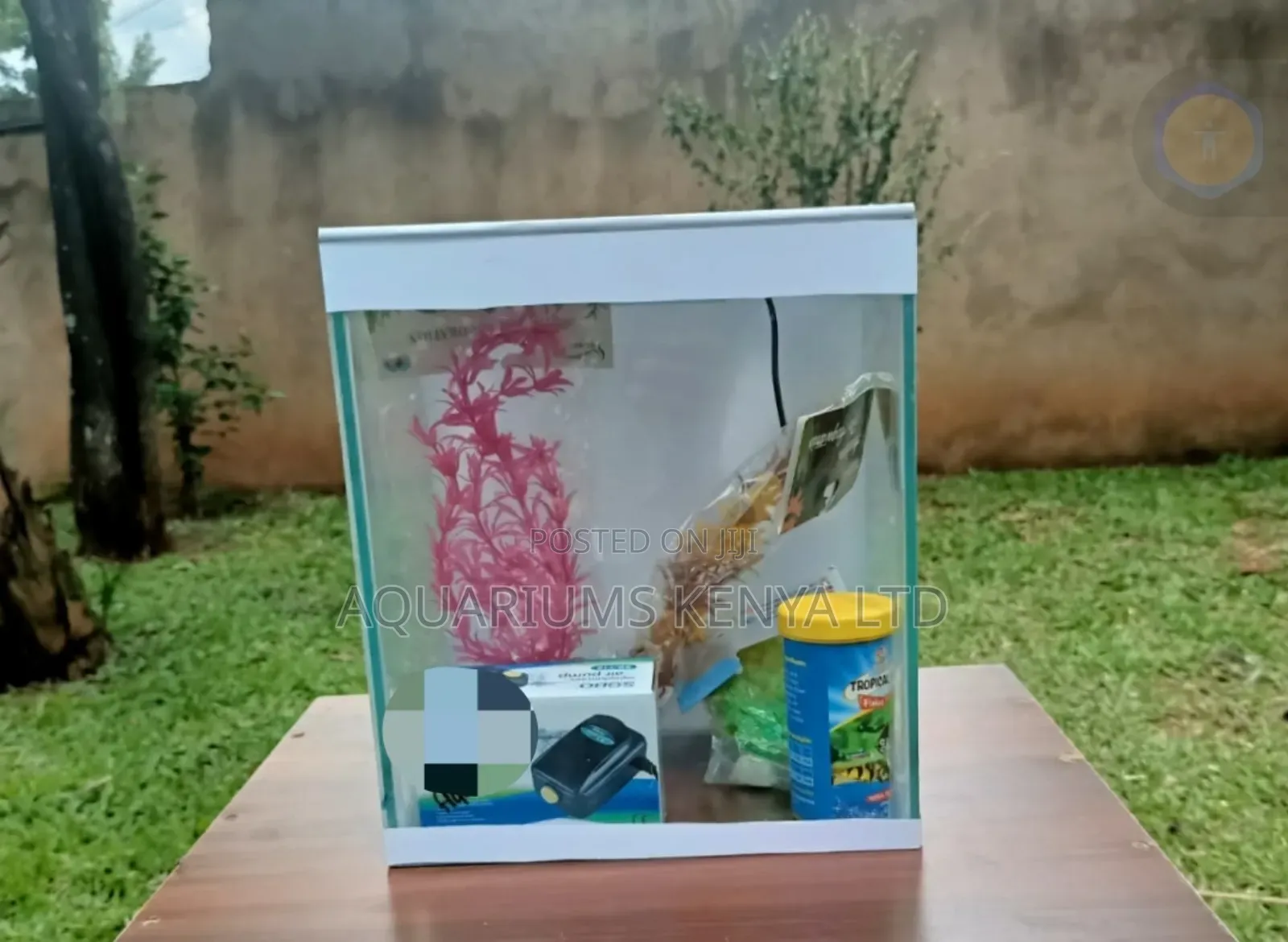 All-in-One Aquarium Starter Kit – Just Add Water Fish!