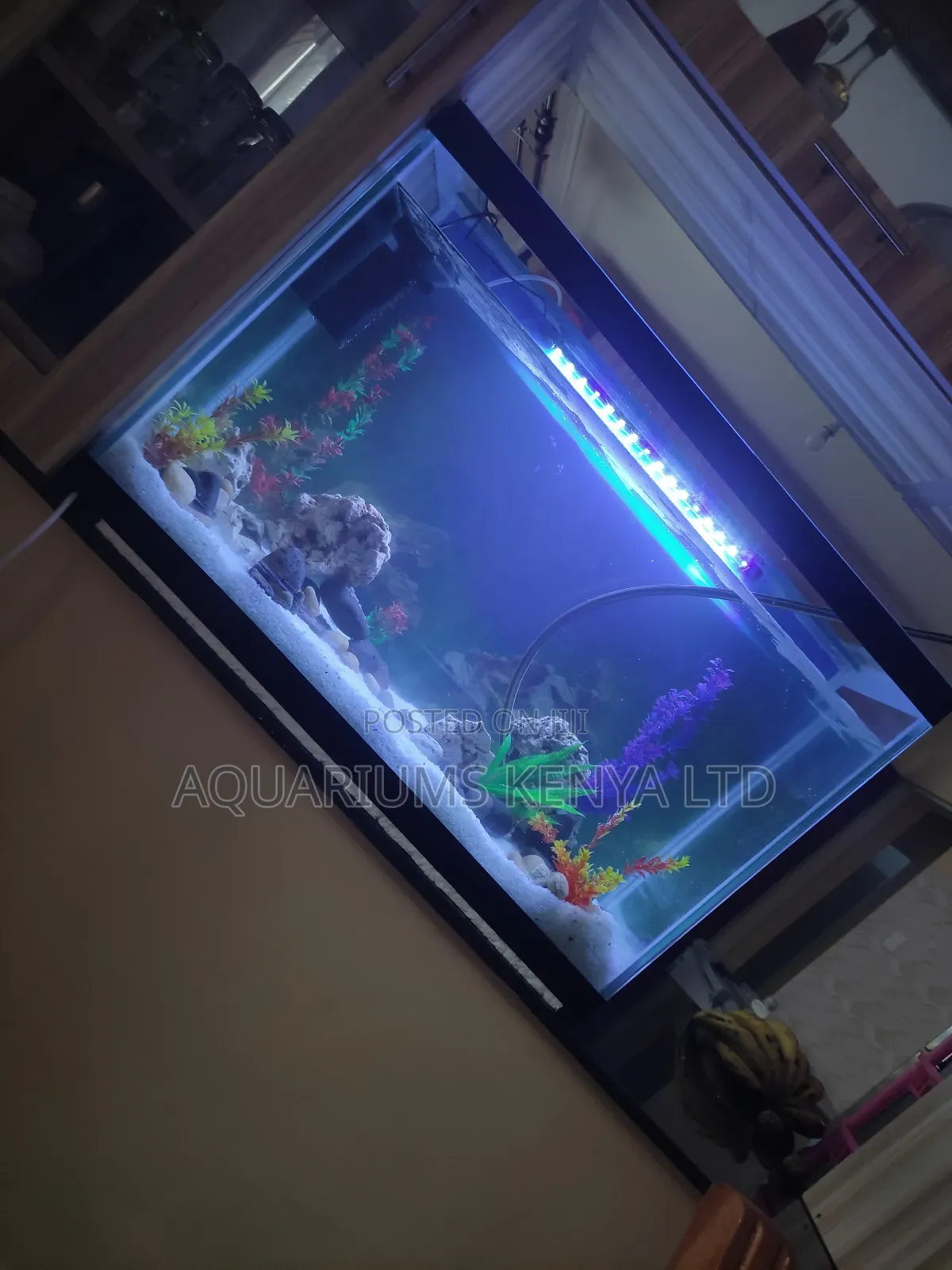Aquarium Interior Elegance , Custom Made
