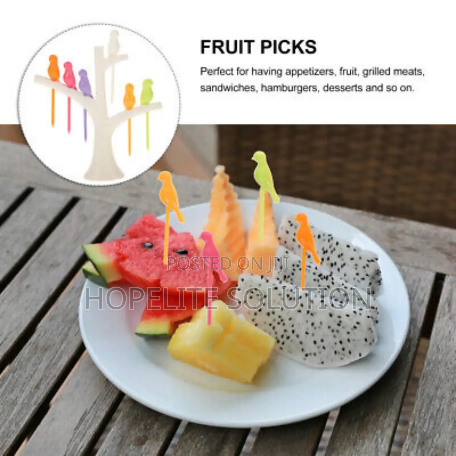 Reusable Fruit Pick Set