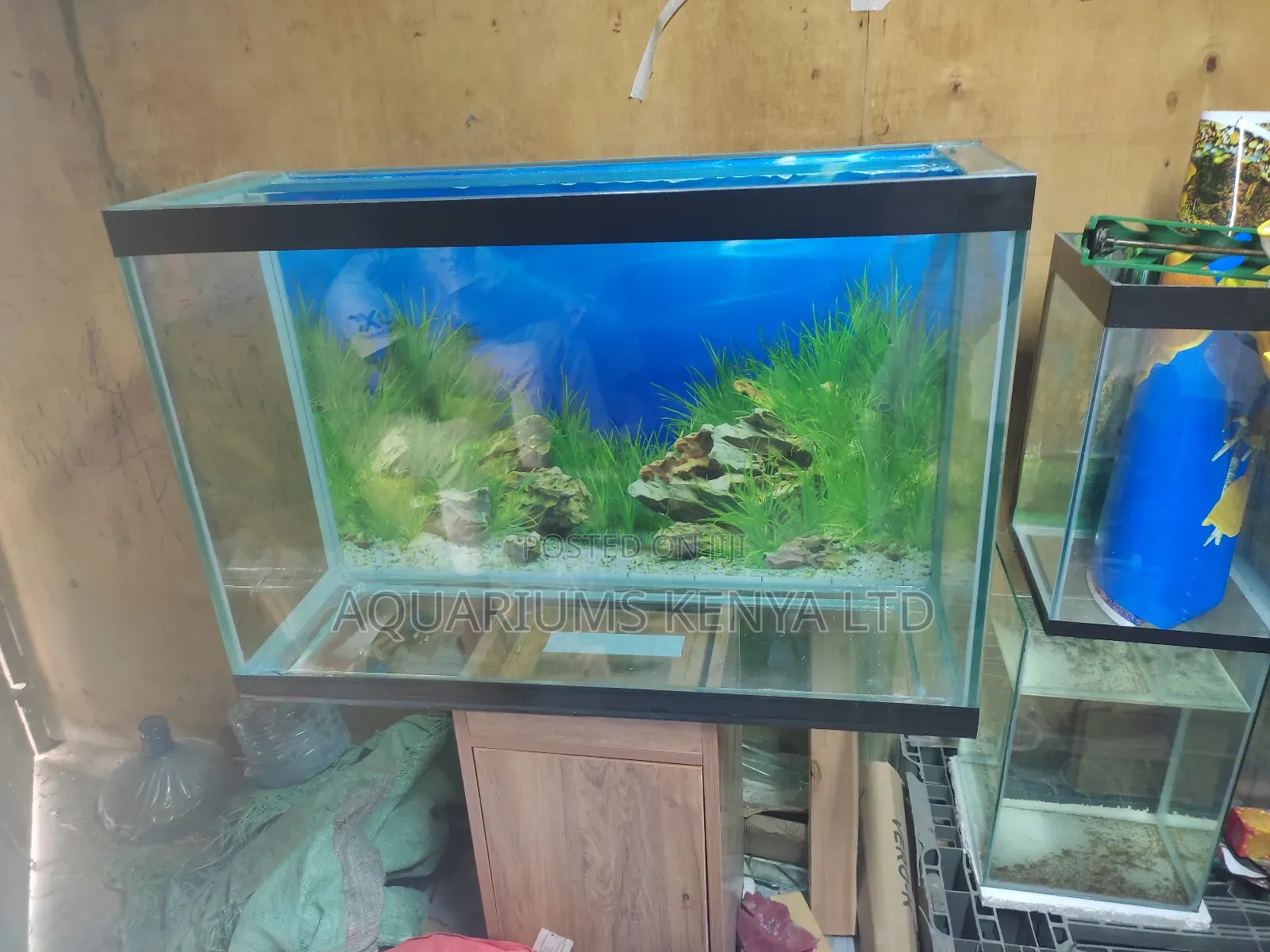 Lush, Classy , and an Eye Catch Aquarium, Perfect Aquarium