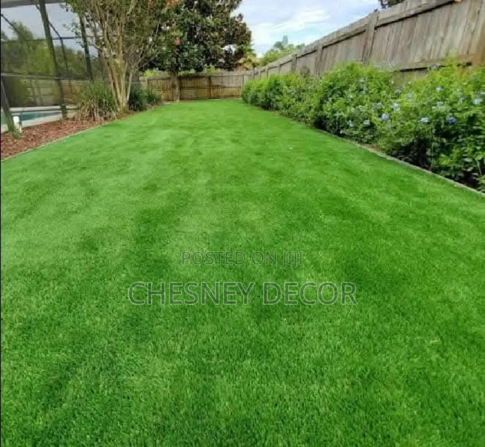 Stylish Green Grass Carpet Rolls