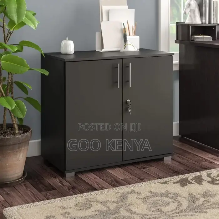Office Cabinet ; 2-Door Executive Cupboard