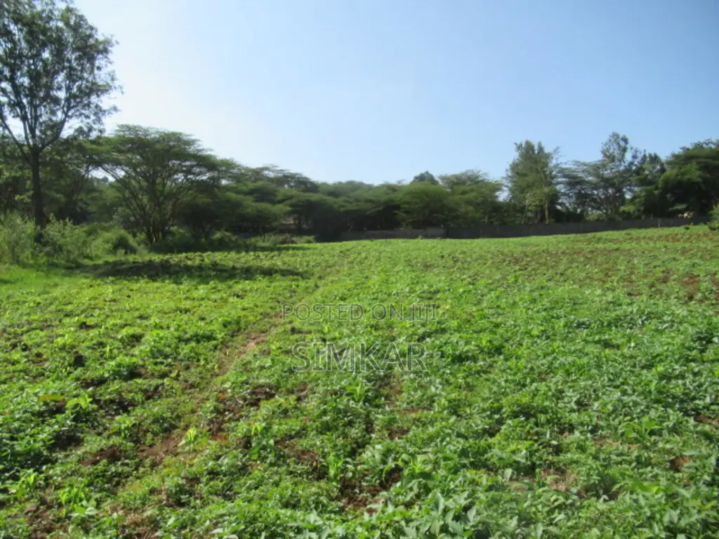 0.5-Acre Plots for Sale in a Gated Community in Karen