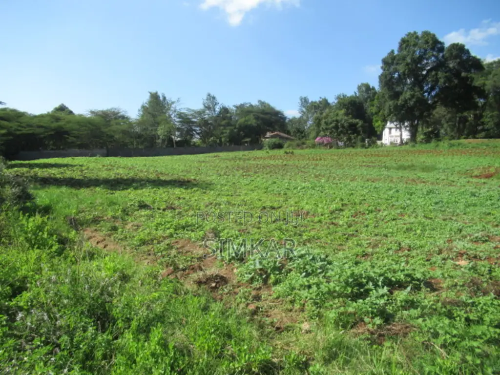 0.5-Acre Plots for Sale in a Gated Community in Karen