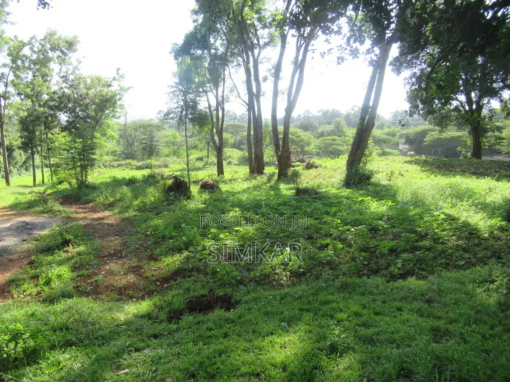 0.5-Acre Plots for Sale in a Gated Community in Karen