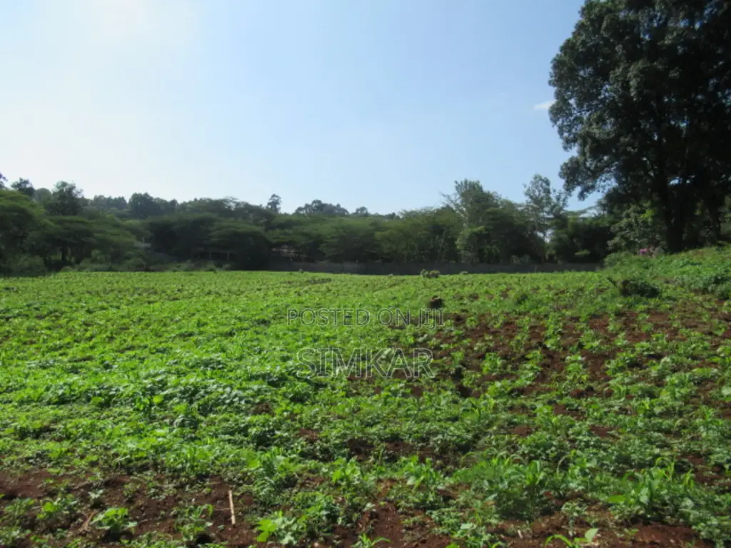 0.5-Acre Plots for Sale in a Gated Community in Karen