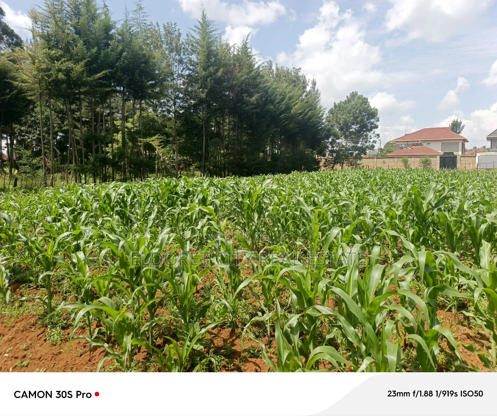 One Acre Elgonview Estate
