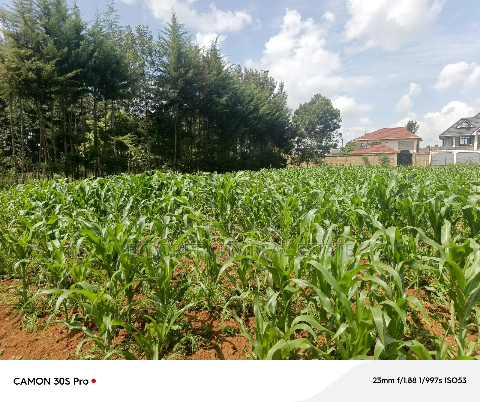 One Acre Elgonview Estate