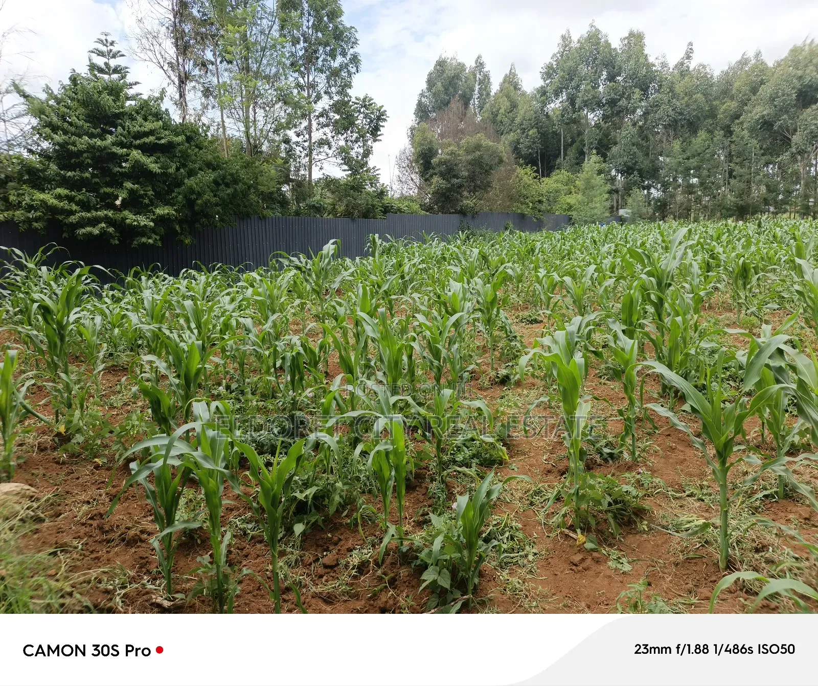 1/2 Acre Blossom Estate Annex With Title.