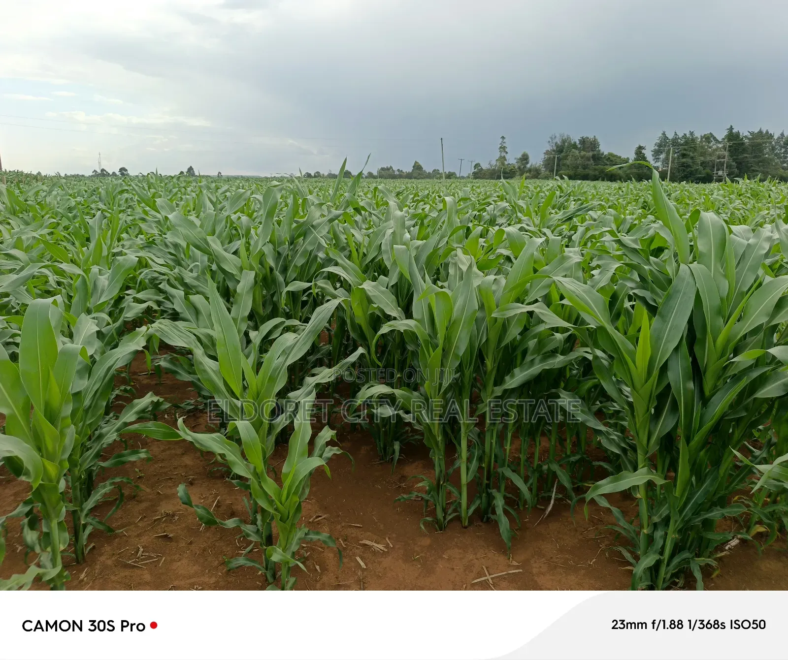 Two Acres Marura With Title Good for Residential