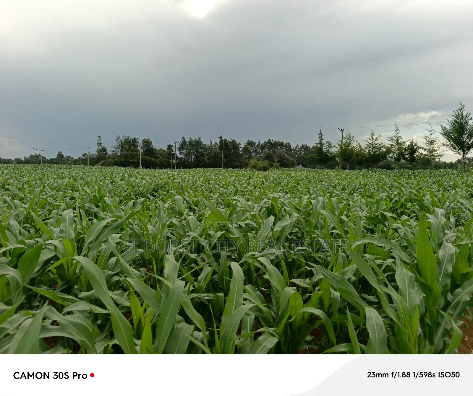 Two Acres Marura With Title Good for Residential