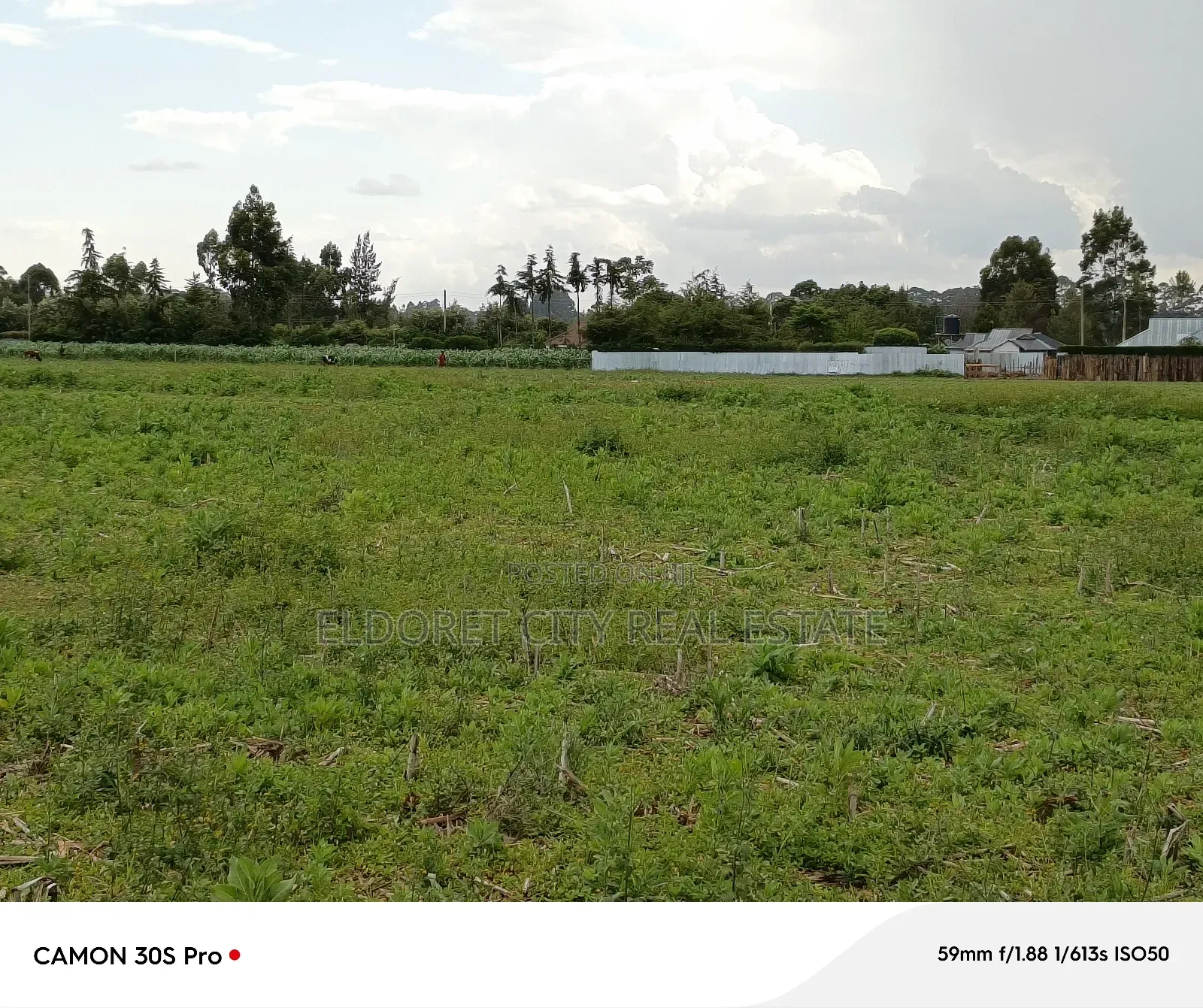 1/4 Plots Marura Chemaluk With Title