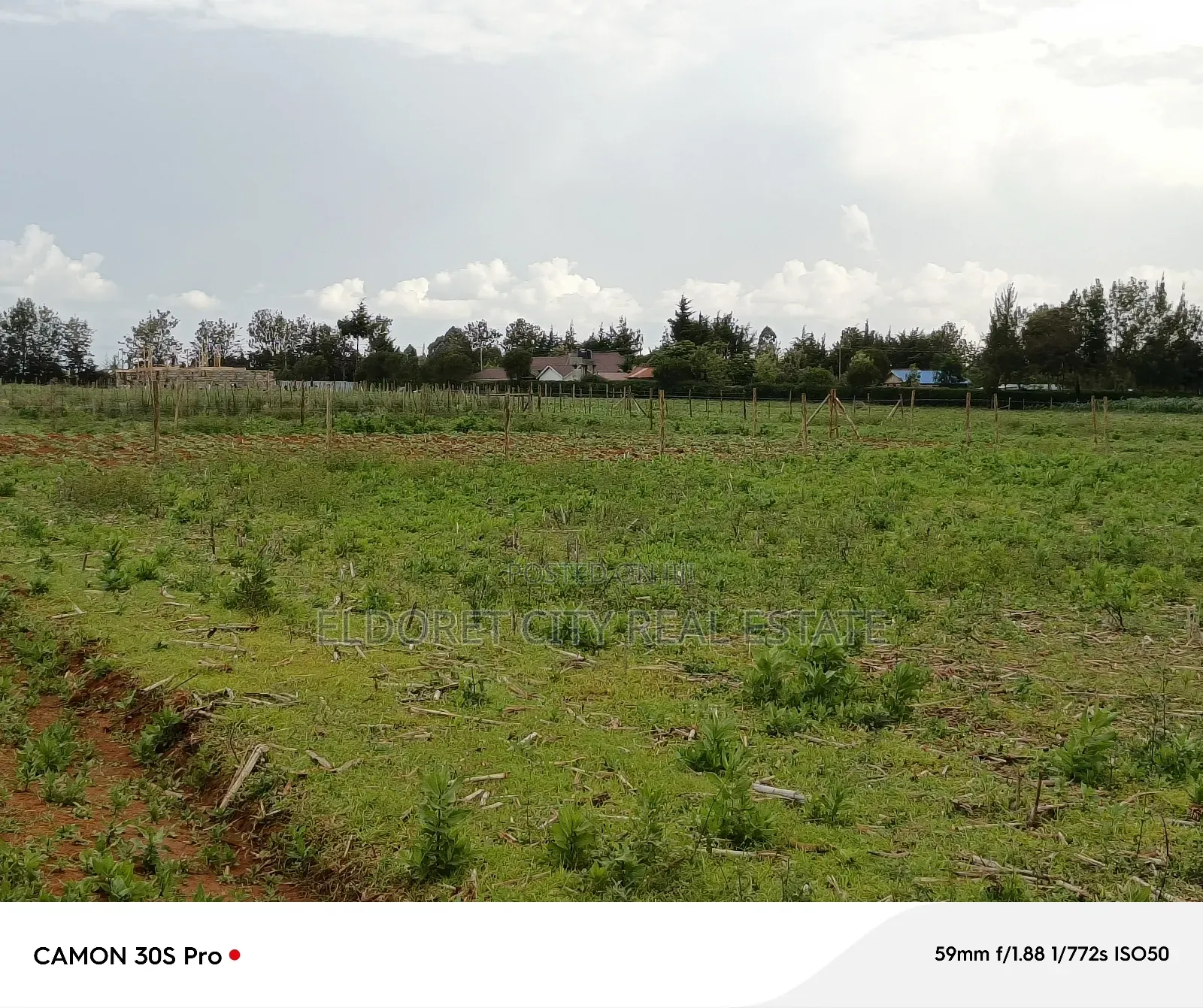 1/4 Plots Marura Chemaluk With Title