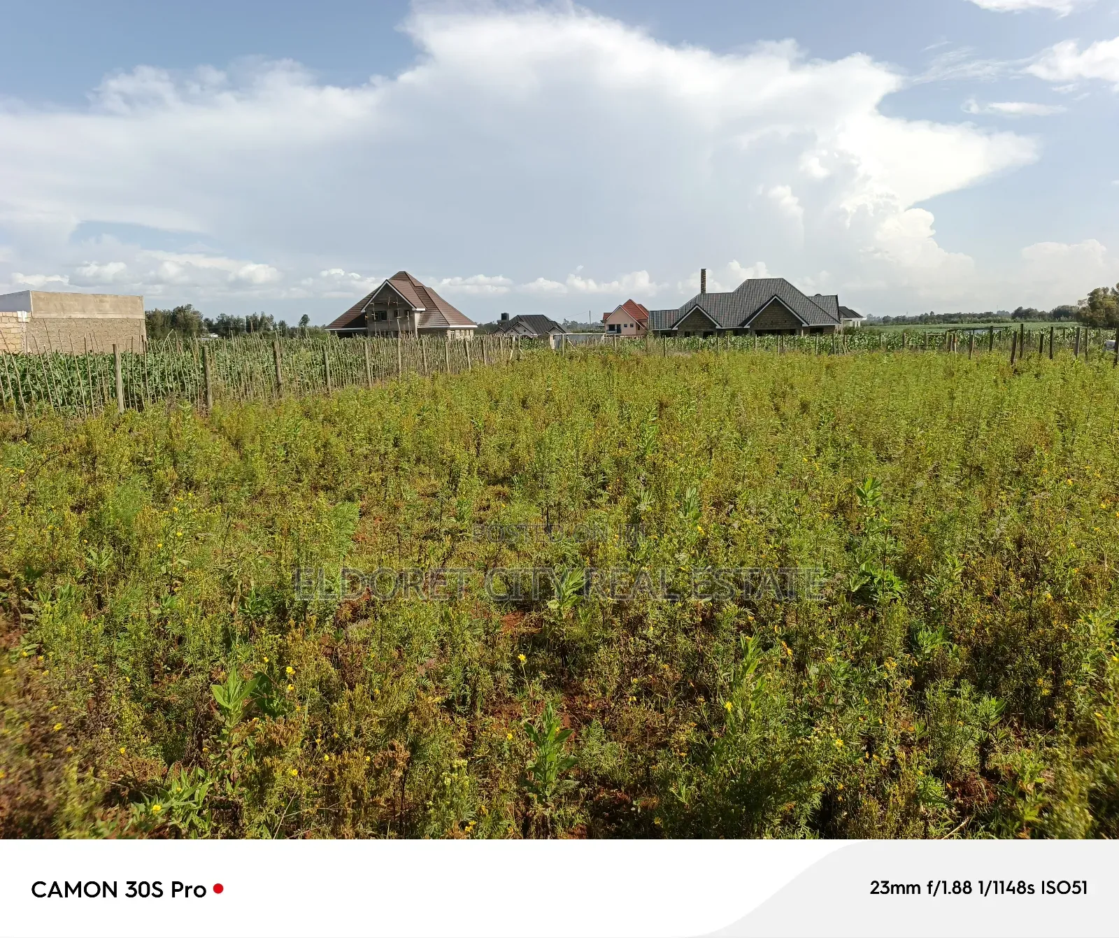 1/4 Plot Marura Chamaluk Area With Title