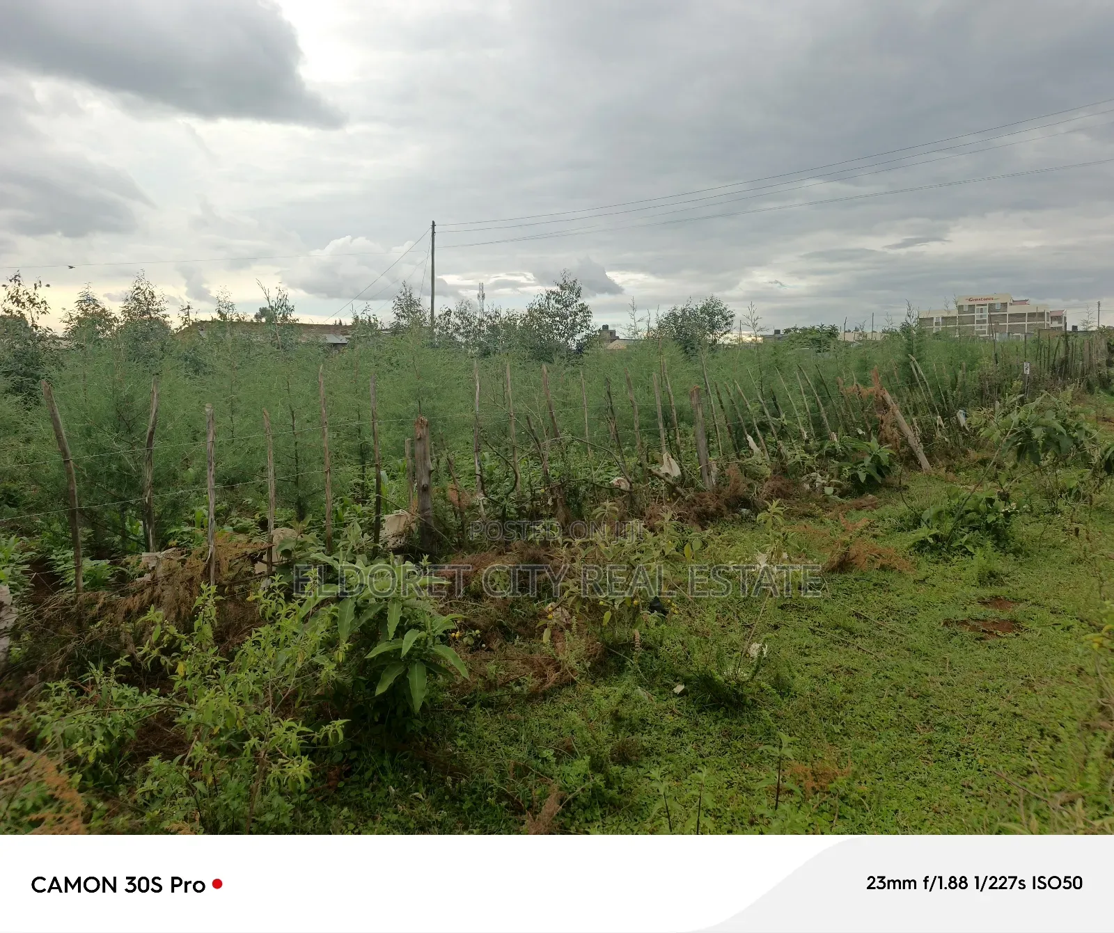 1/4 Plot Kesses Moi University.