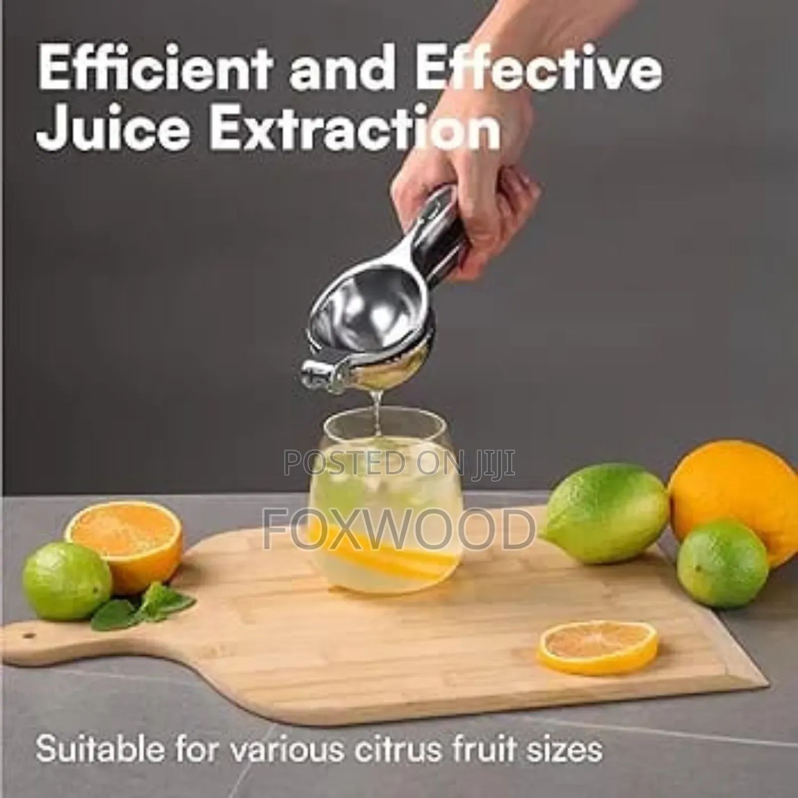 Stainless Steel Premium Quality Lemon Squeezer