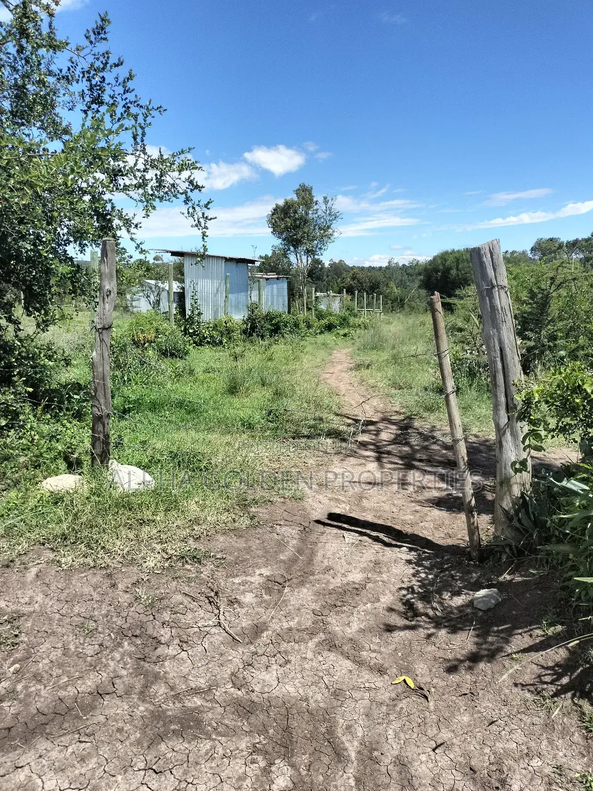 Nanyuki, 3 Acres Touching River