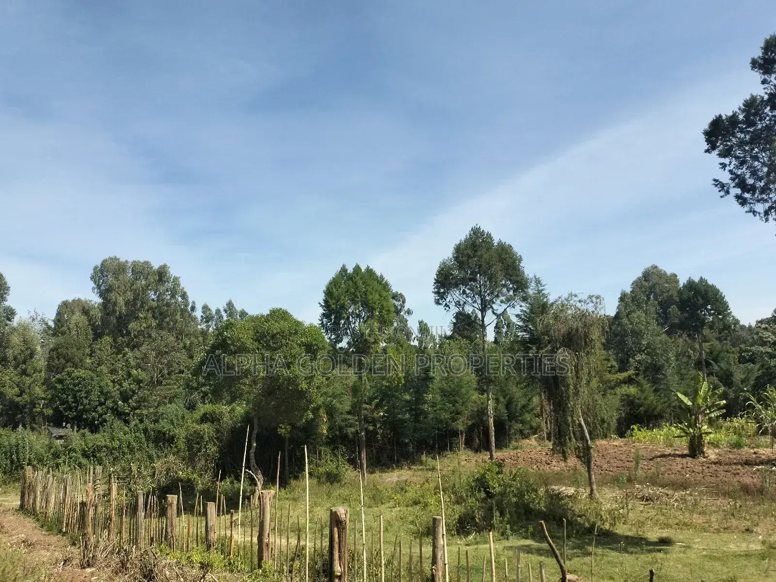 Nanyuki 11 Acres Near Mt Kenya
