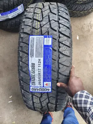 265/65r17 Goddard