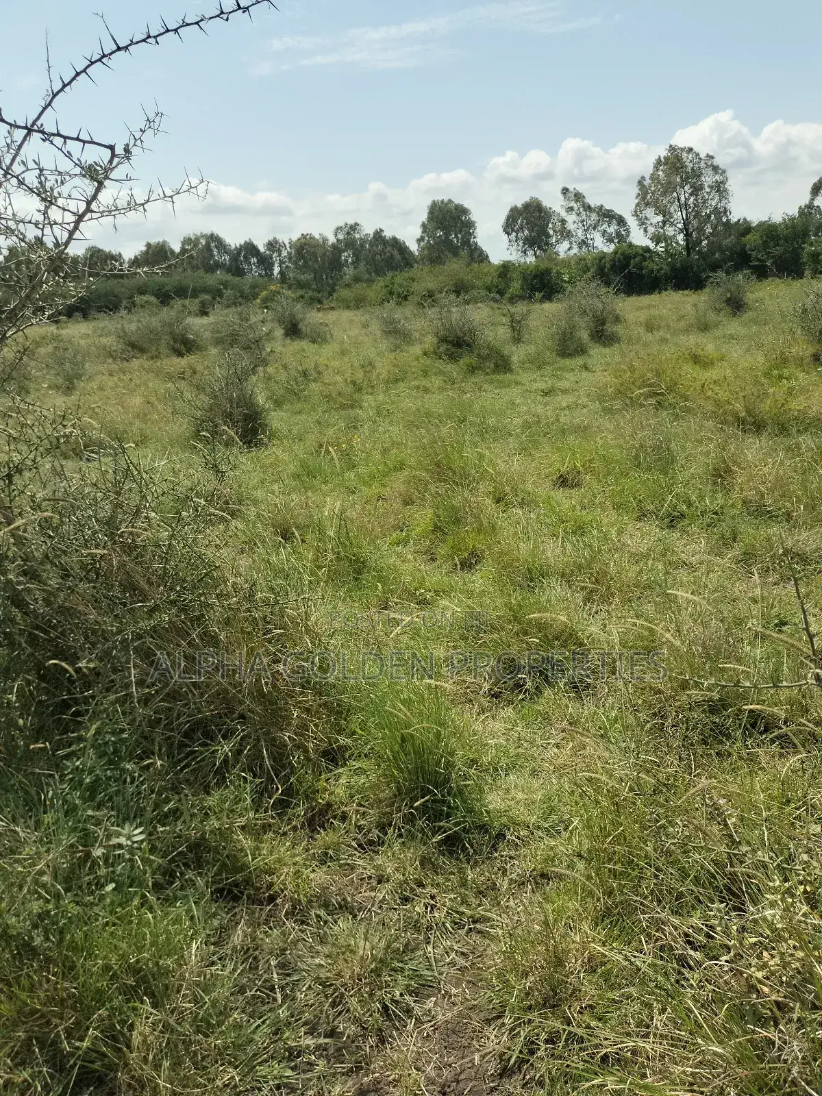 Olpajeta 2 Acres Touching It's Fence