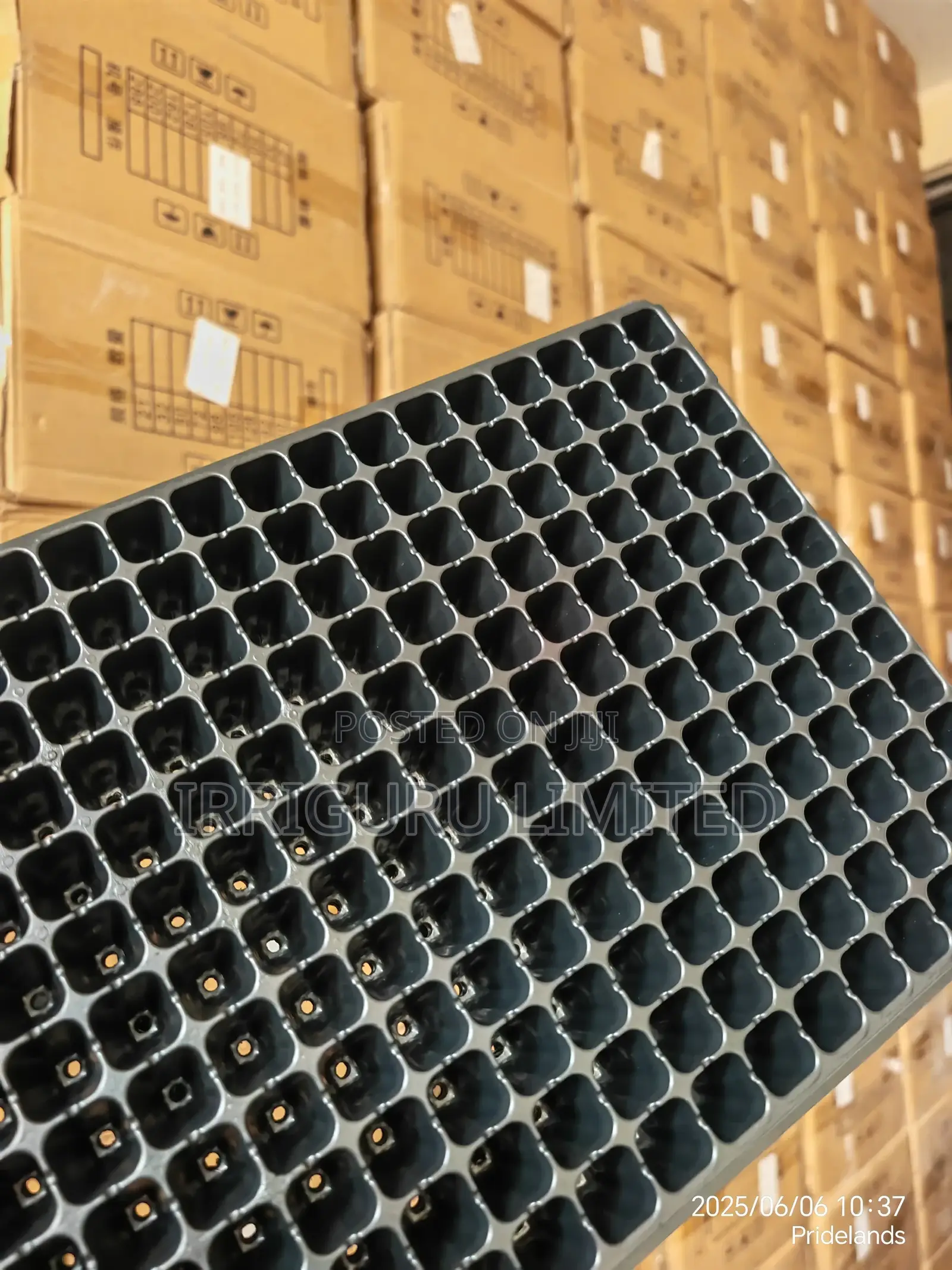 Nursery Tray With 198 Holes