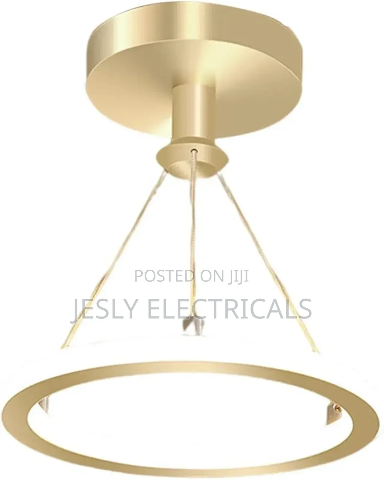 Metal Ring Pendant Light With Acrylic Shade