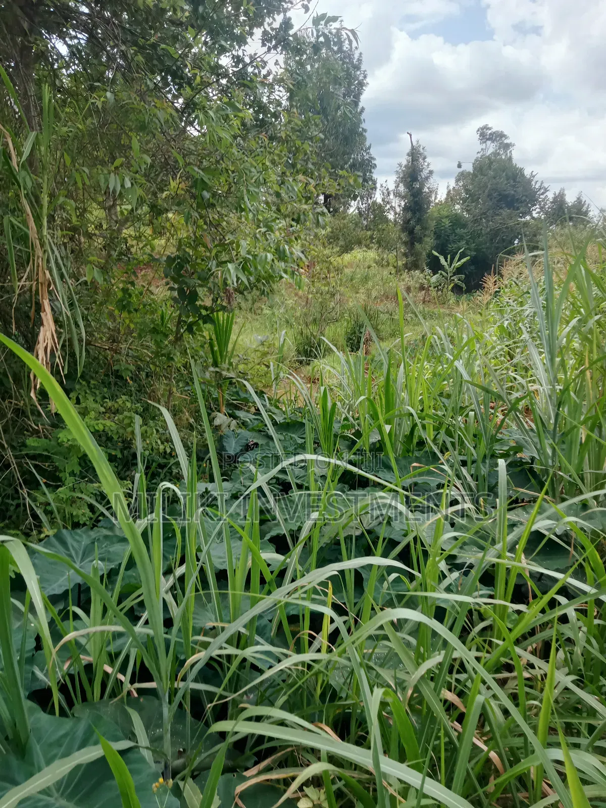 1 Acre Land for Sale at Makuyu -Mihang'0