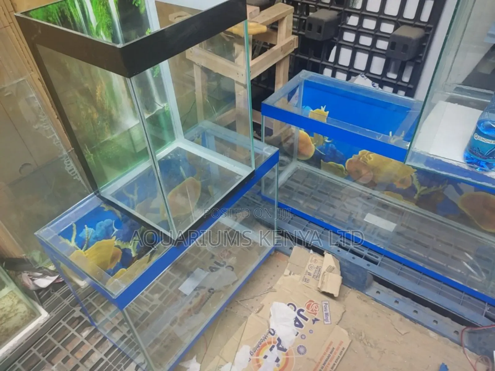 We Build Care for Aquariums of All Sizes
