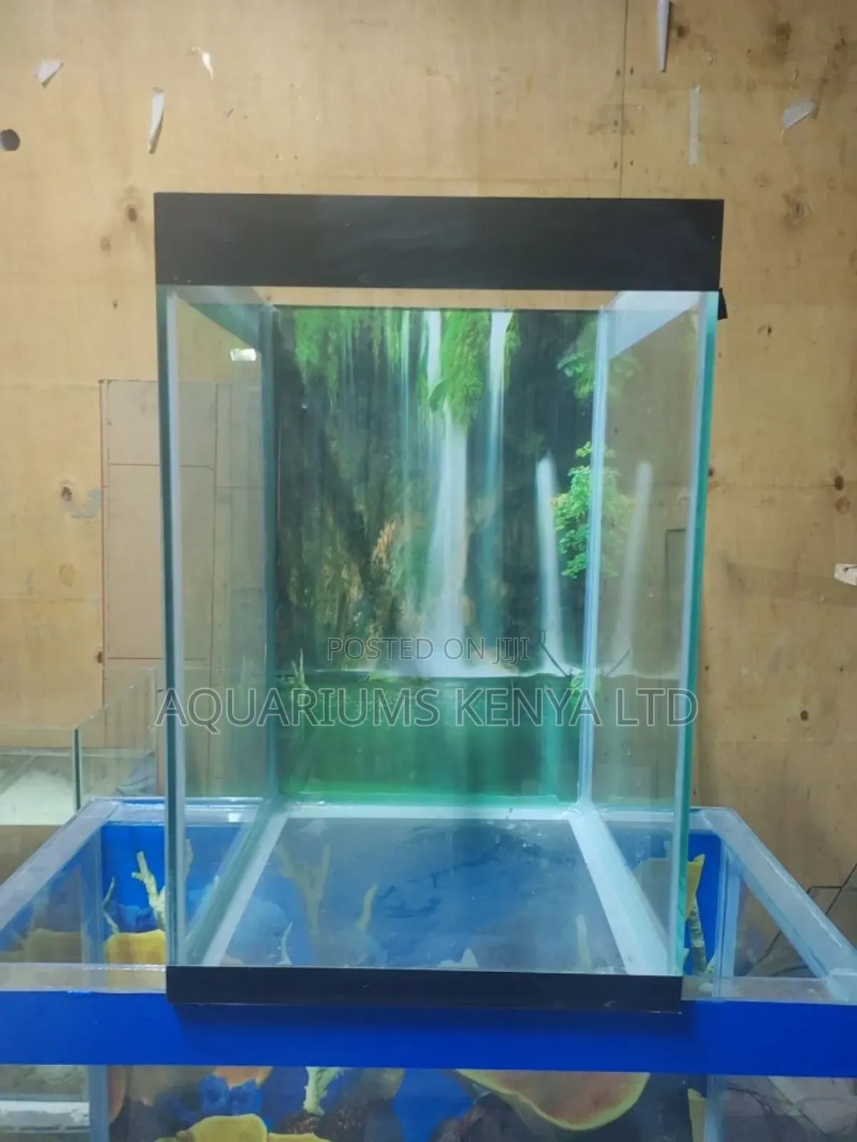 Aquarium That Needs Little Space