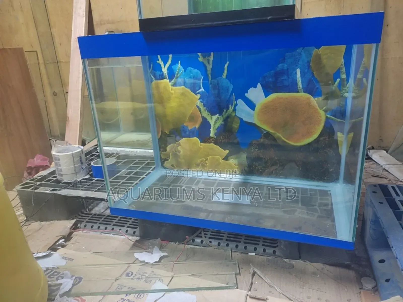 60l Aquarium With Full Setup - Just Plug and Play