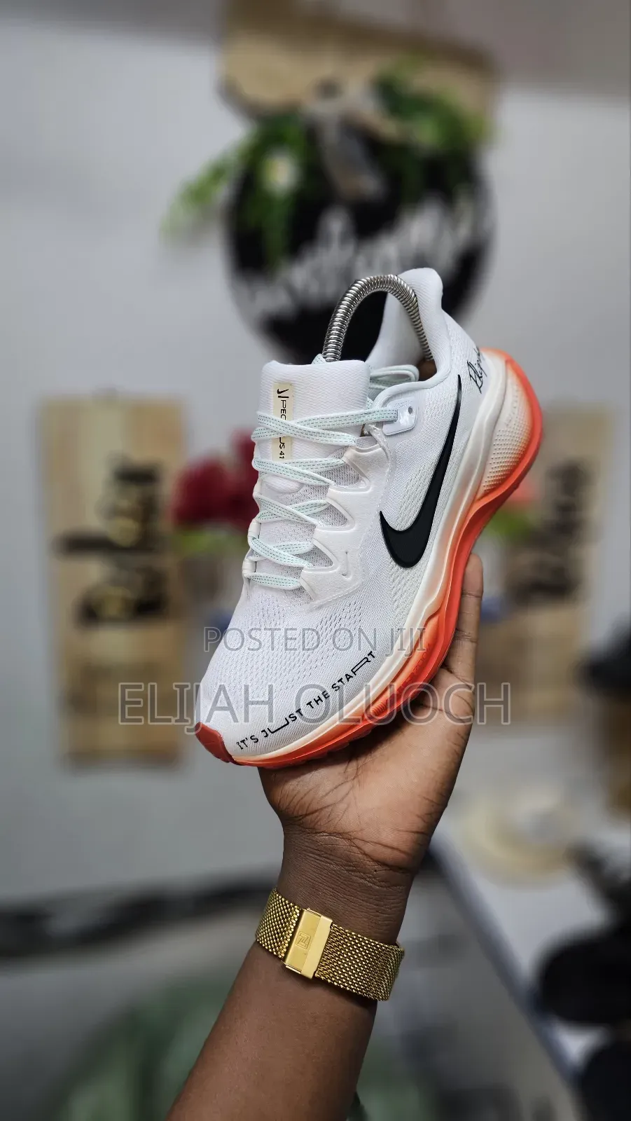 Nike Pegasus "Eliud Kipchoge" *Size 37___45