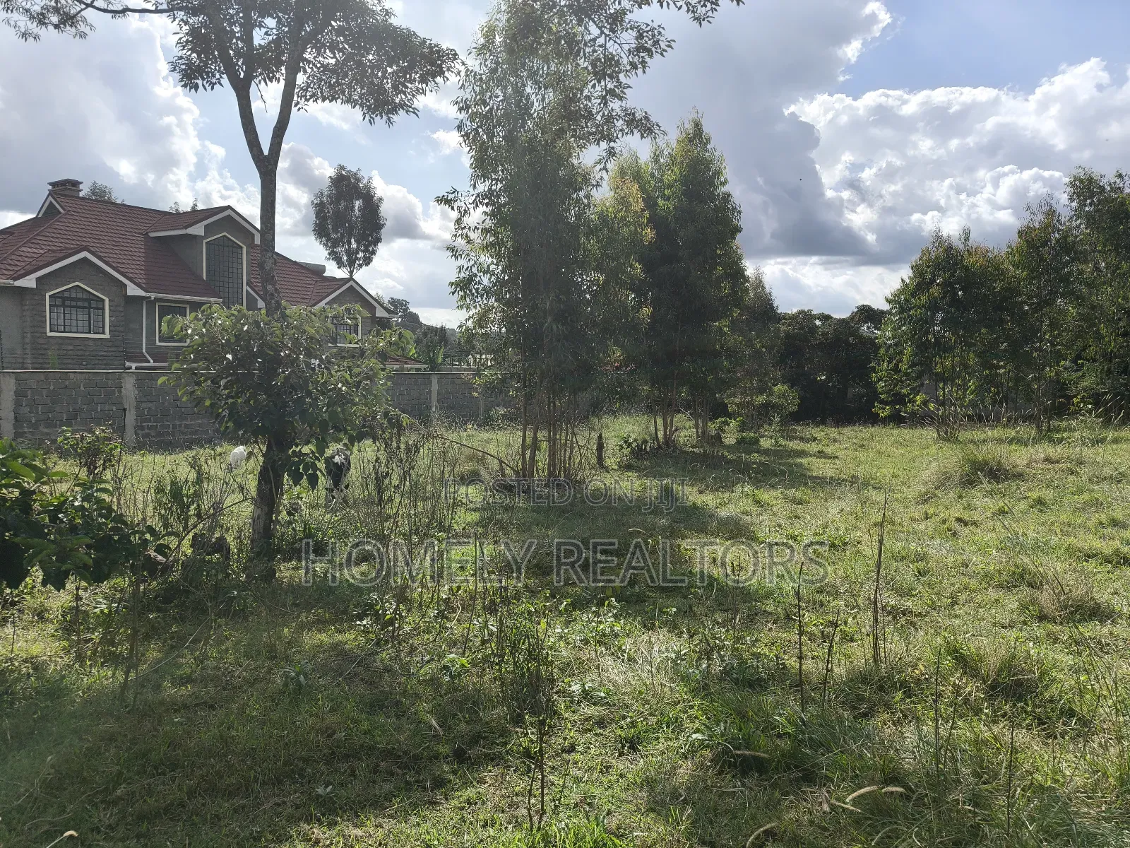 Half Acre Plot in Ngong, Olkeri Near Tarmac With Scenic View