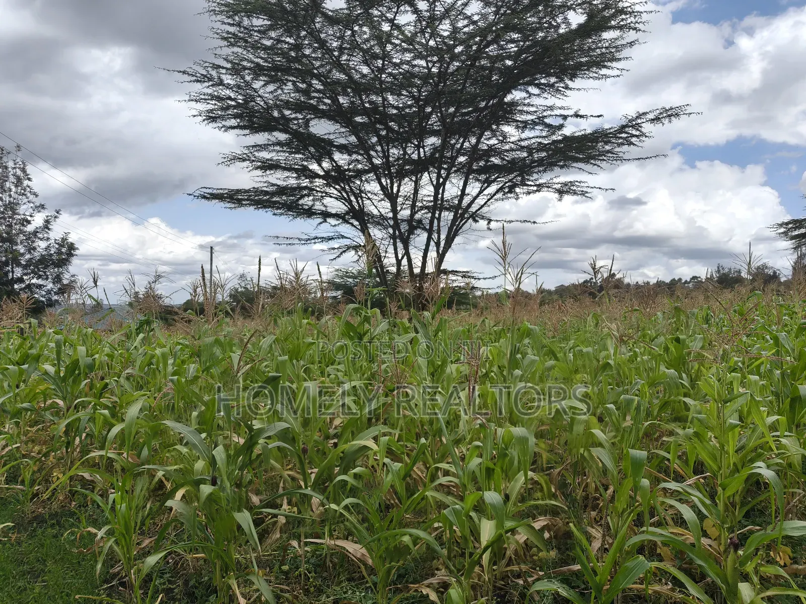 Half Acre Plot in Ngong Matasia Along Merisho Rd Near Tarmac