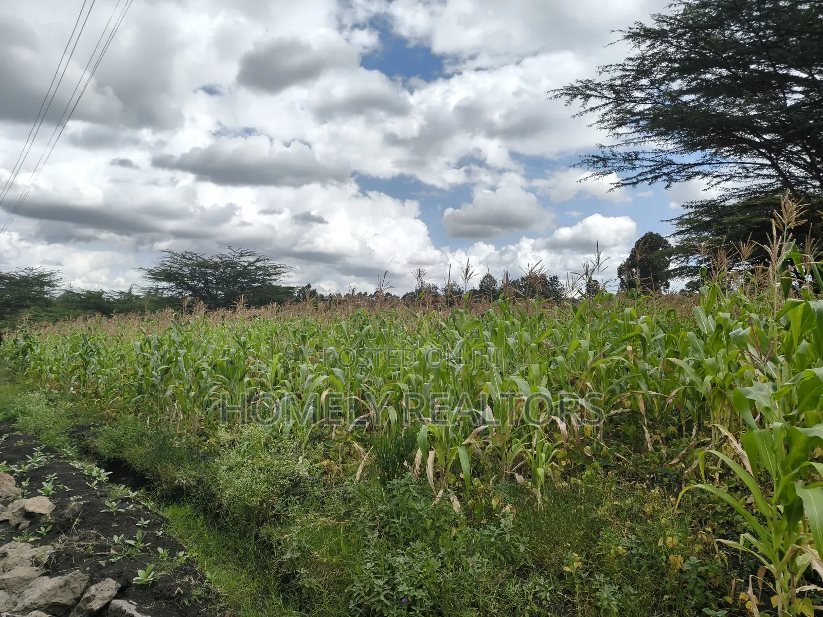 Half Acre Plot in Ngong Matasia Along Merisho Rd Near Tarmac