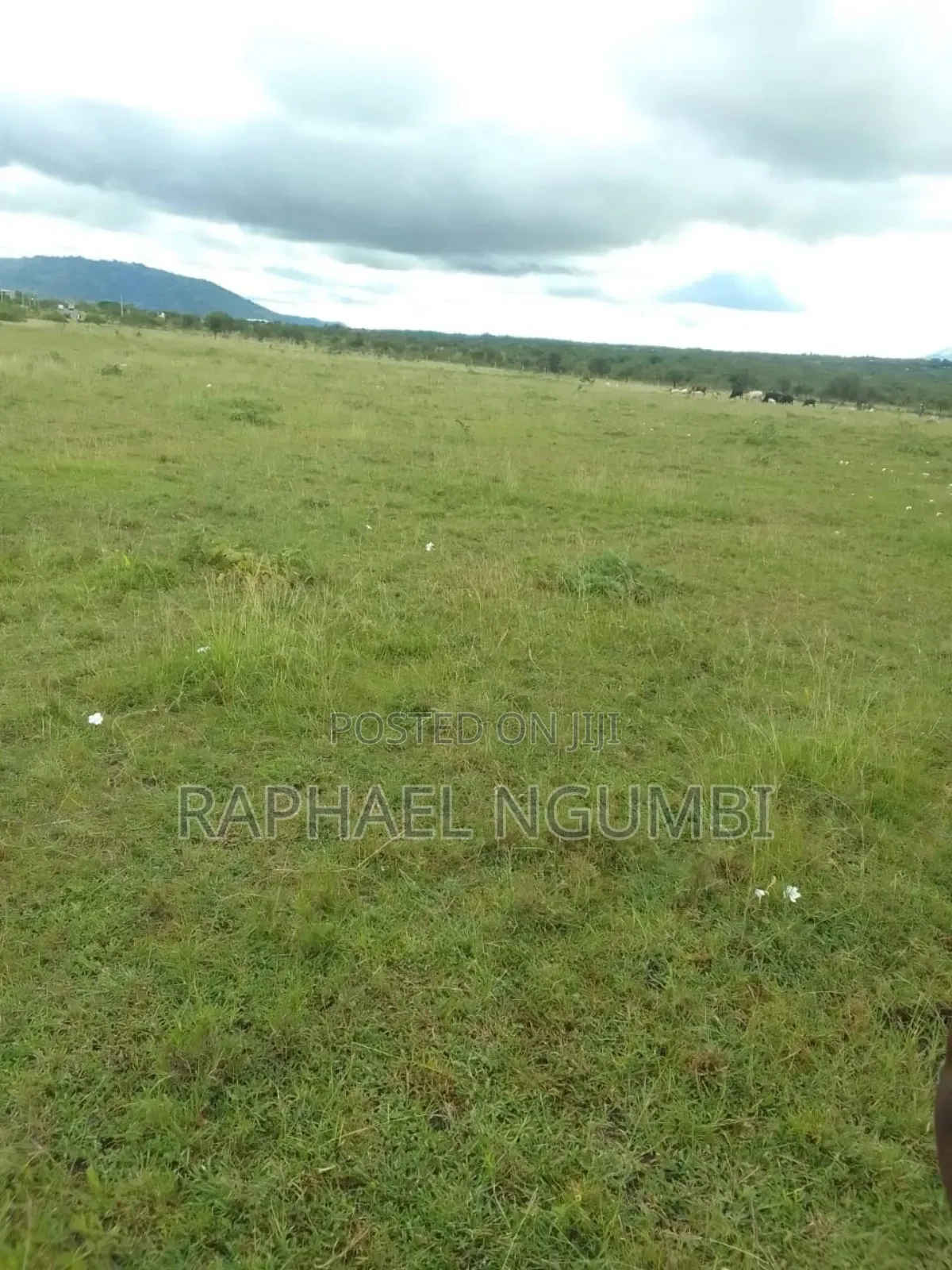5 Prime Acres Touching Mombasa Road at Lukenya Maanzoni