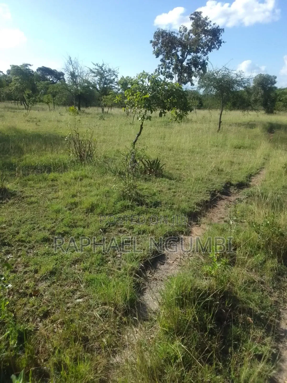 40 Acres at Kithimani Mamba