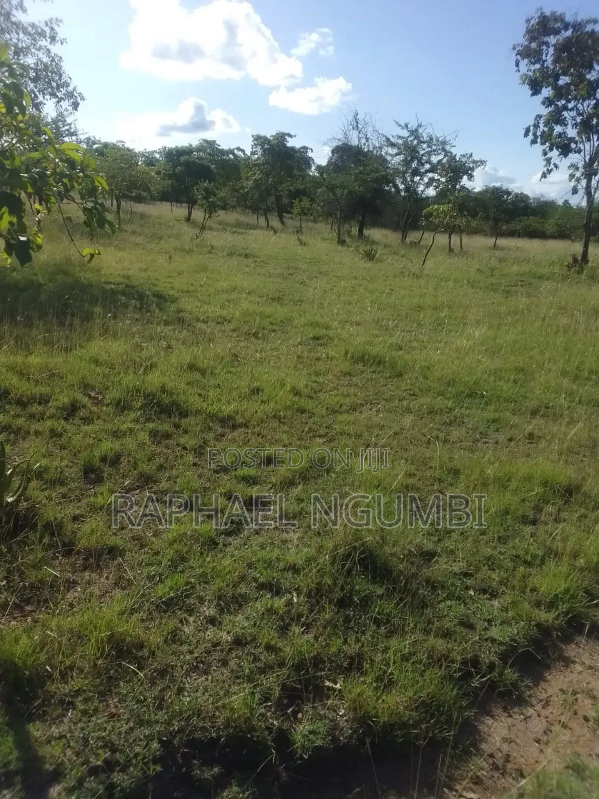 40 Acres at Kithimani Mamba