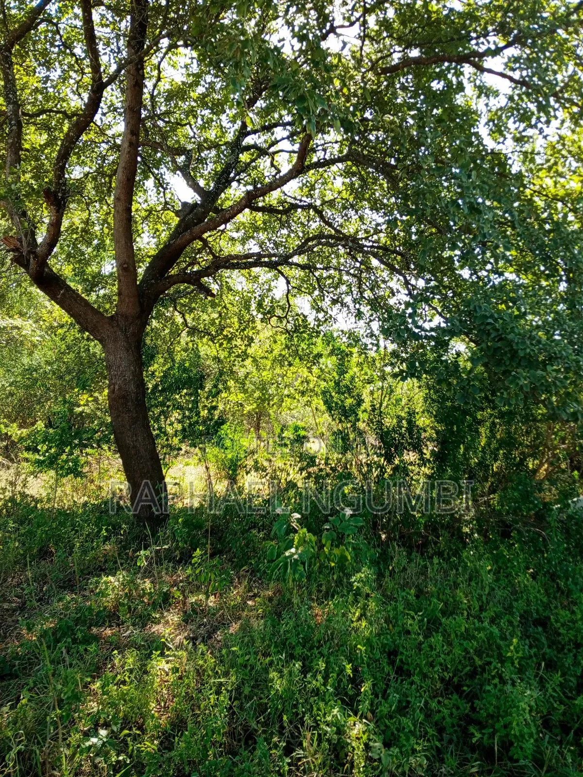 Ten (10) Acres at Machakos Kithangaini