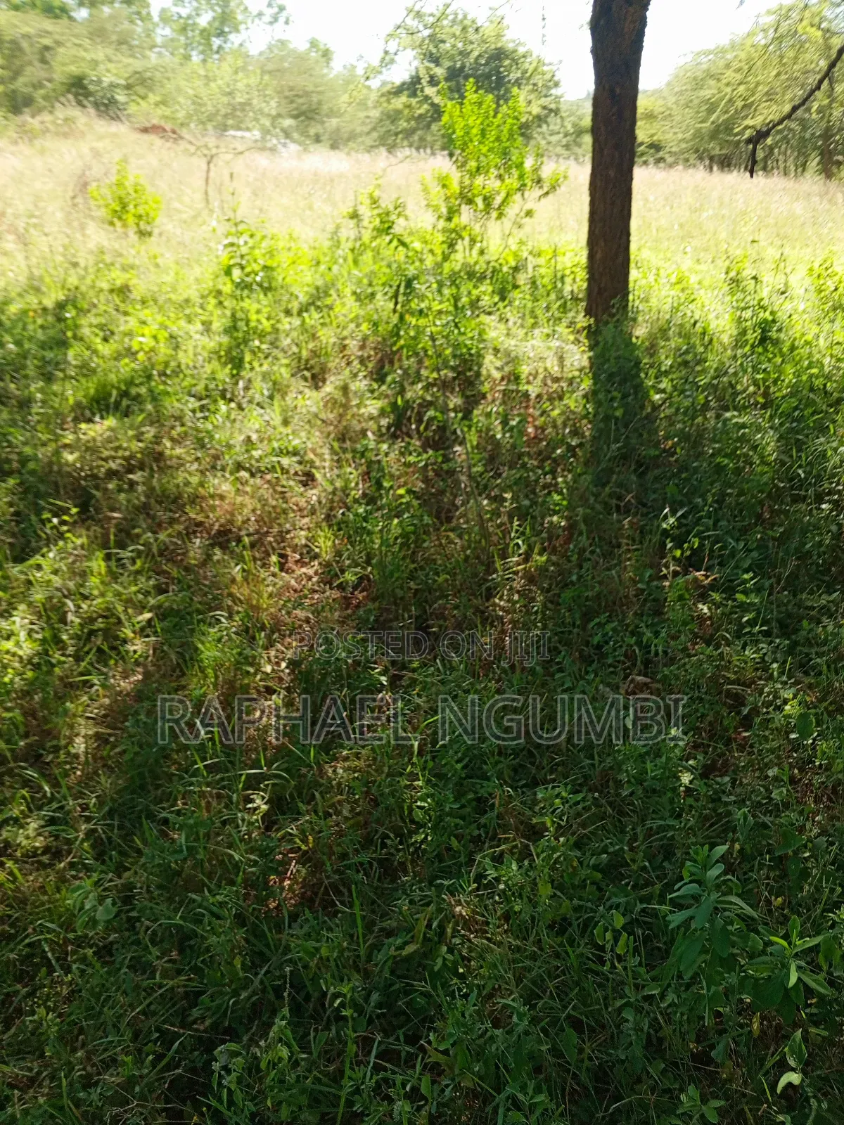 Ten (10) Acres at Machakos Kithangaini