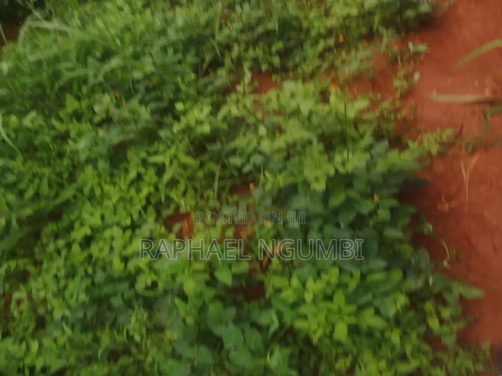 20 Acres at Machakos Wamunyu Touching Athi River