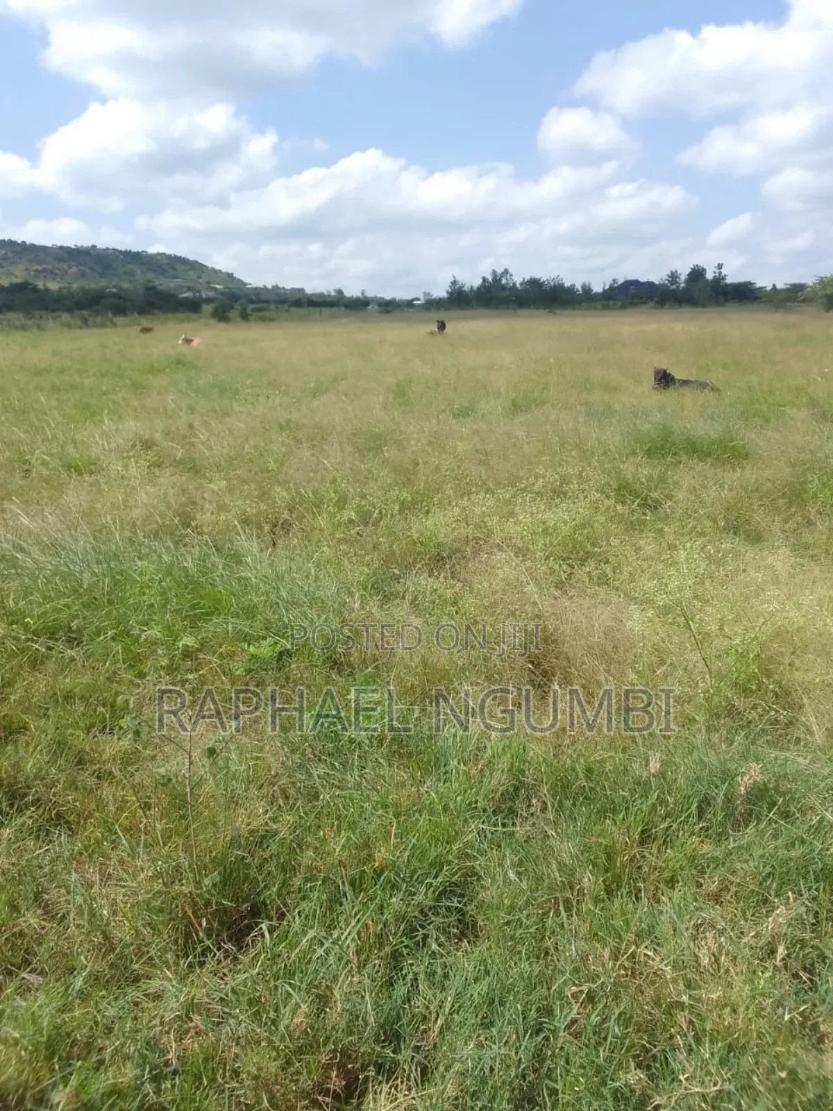 54 Acres Along Lukenya Kwale Road