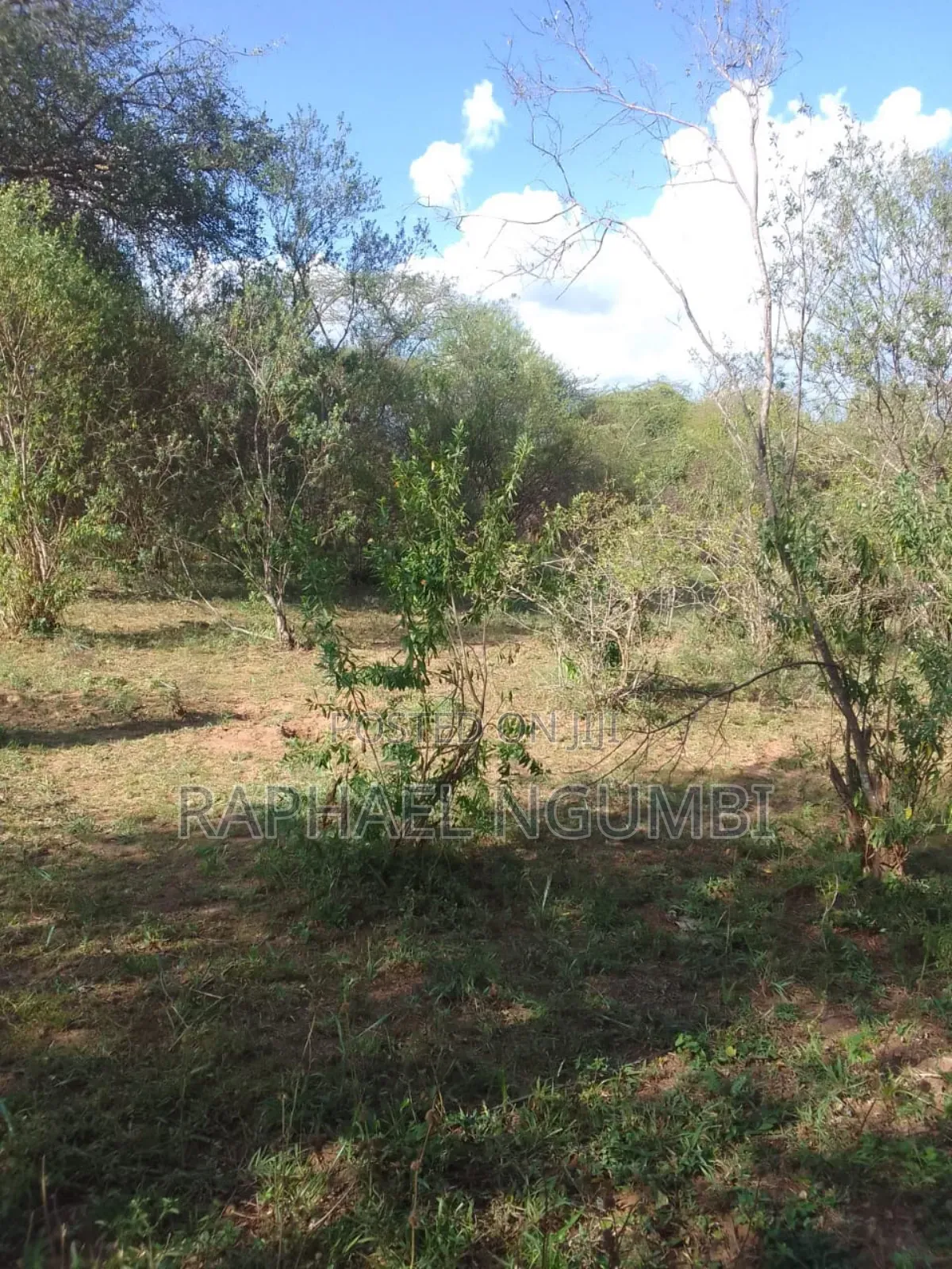100 Acres At Kitui Mutomo Mutha