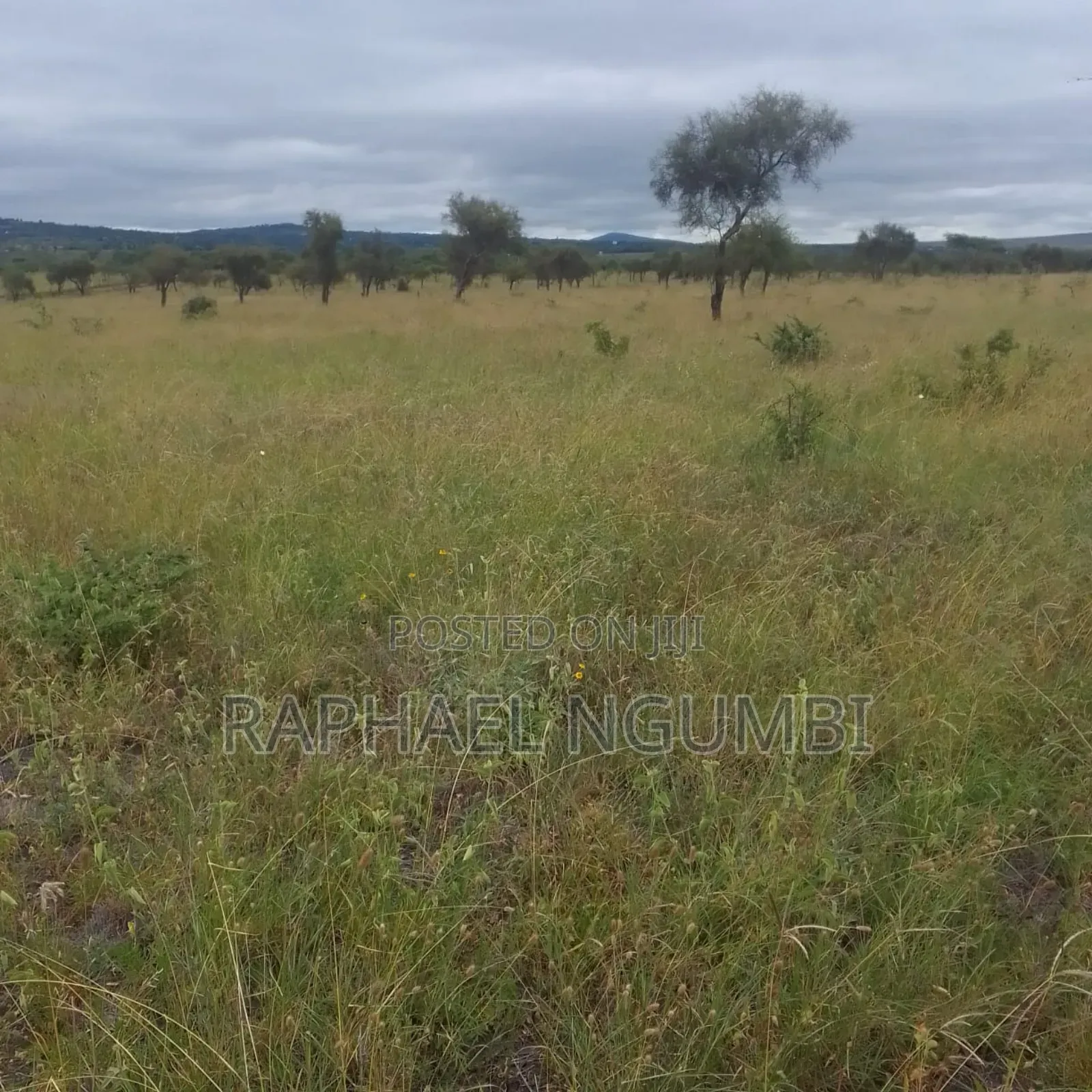 2,000 Acres at Athi River Lukenya Stone Athi