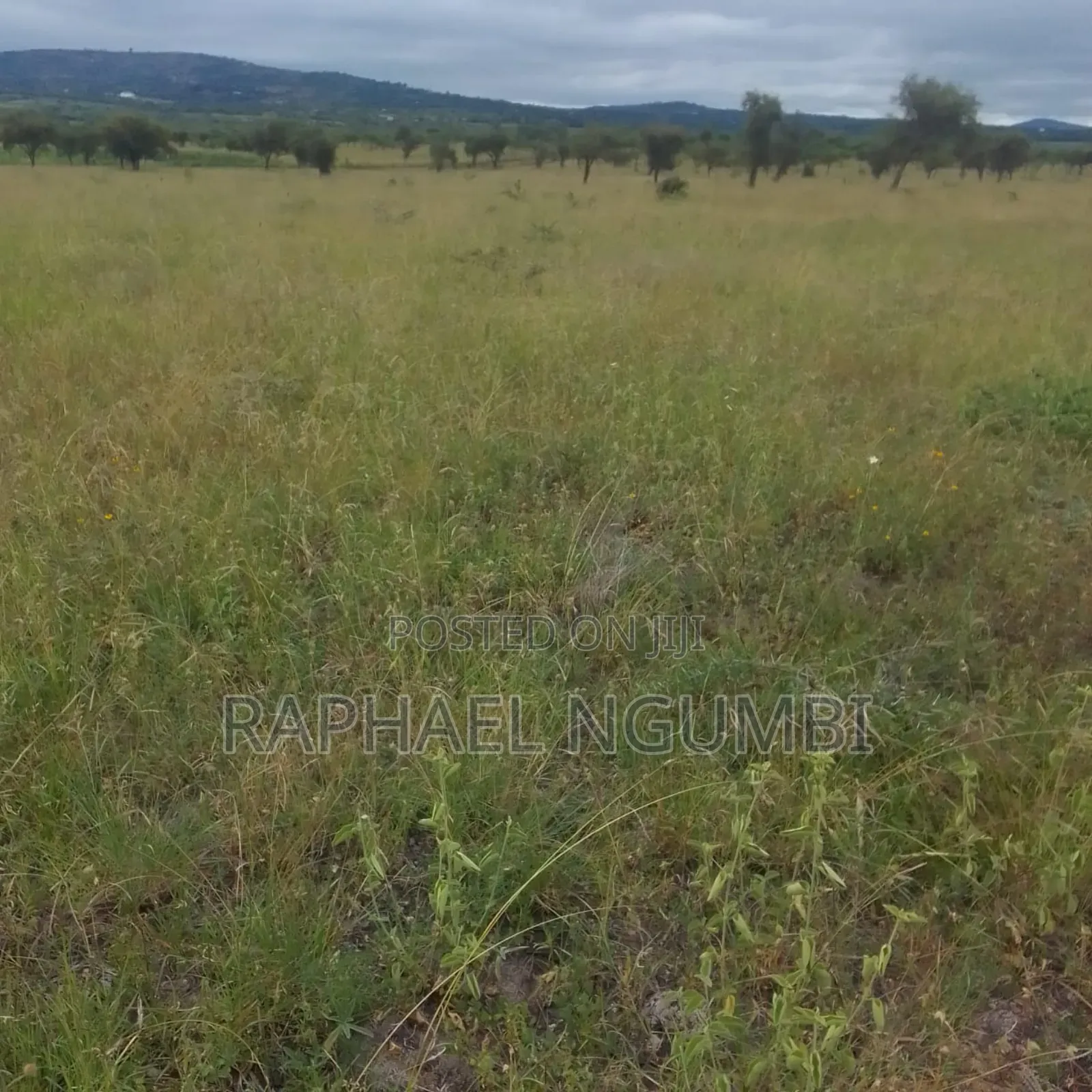 2,000 Acres at Athi River Lukenya Stone Athi