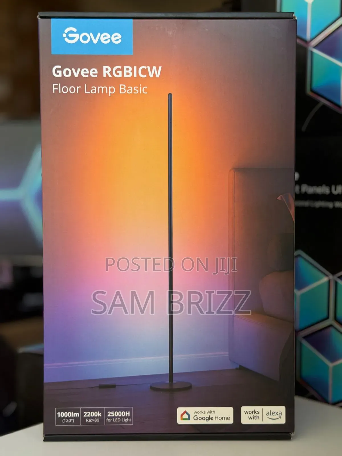 Govee Rgbiw Floor Lamp Basic