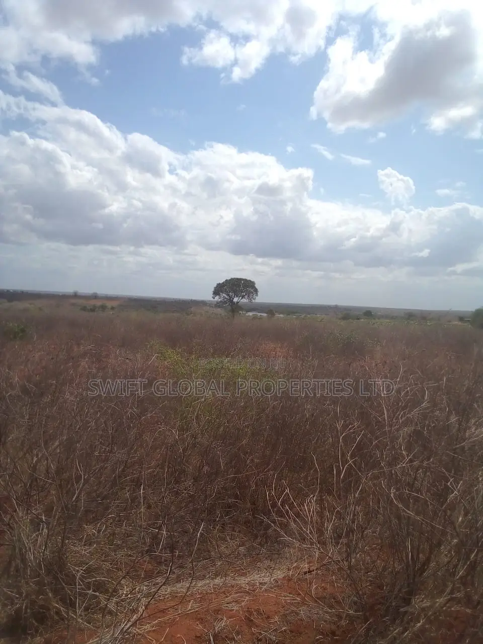 500 Acres Touching Galana River in Malindi Is for Sale