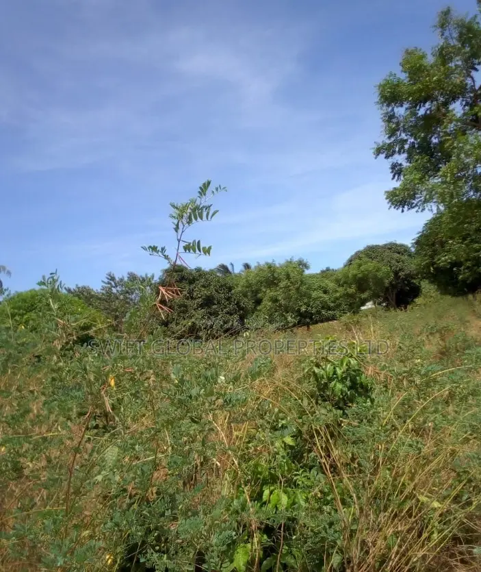 Over 175 Acres on Galana River in Baricho Malindi Is for Sale
